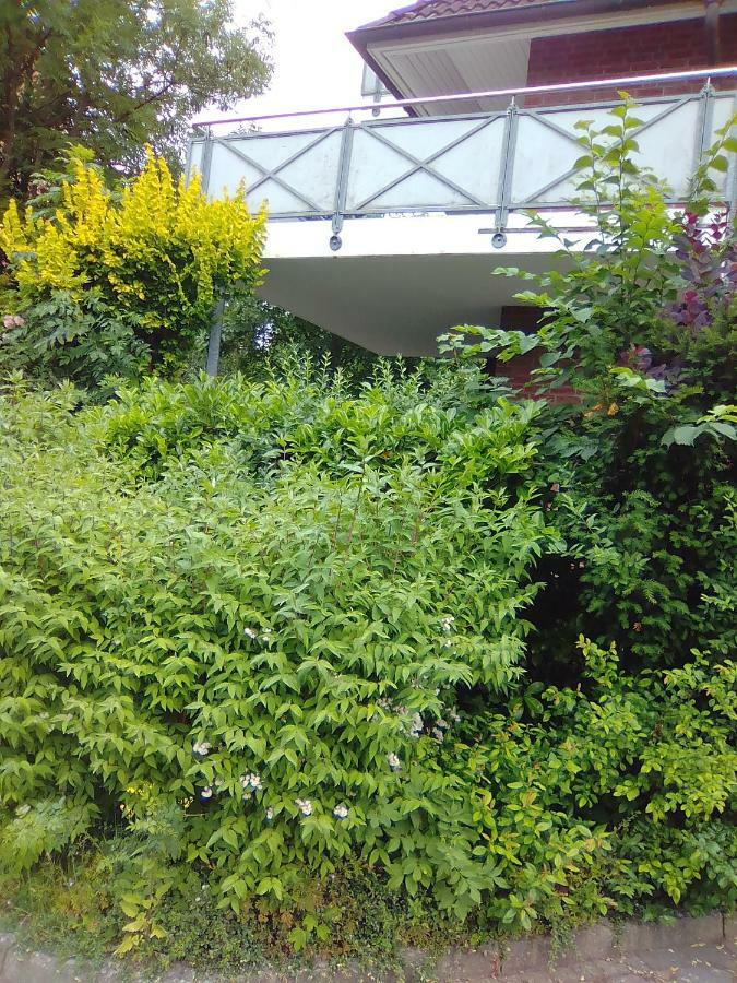 Apartment Forststrasse Am Residence-park *